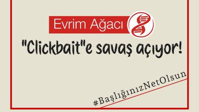 Evrim Ağacı, 