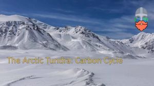 Climate Change Turns Arctic Into Carbon Source