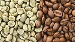 Kahve Genomu, Kafeinin Evrimine Işık Tutuyor!