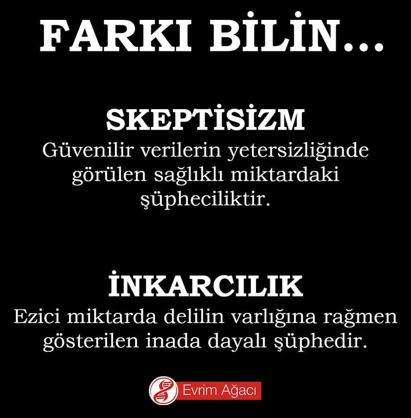 Aradaki farkı bilmek önemli... Skeptisizm, güvenilir verilerin yetersizliğinde görülen sağlıklı miktardaki şüpheciliktir. İnkarcılık ise, ezici miktarda delilin varlığına rağmen gösterilen inada dayalı "şüphe"dir. Çoğu filozof, bu ikinci tip şüpheyi "şüphe" olarak bile kabul etmez. Antisosyal kişilik bozukluğu gibi bazı psikolojik rahatsızlıkların inkarcılıkla bağlantısı bilinmektedir.