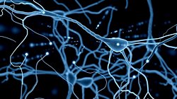 Anılarımız Nöronların Bağlantılarında (Sinapslarda) Depolanmıyor Olabilir!