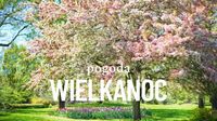 Wielkanoc z wiosennym słońcem i letnimi temperaturami. Sprawdź, gdzie może zagrzmieć! - TVS.pl
