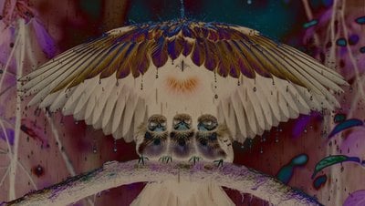 Yapay Zeka Tarafından Üretilen Hayvanlar Bizi Doğadan Uzaklaştırıyor!