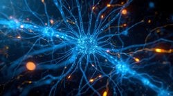 Beyne Elektrikle Komut Yazmak: Elektriksel Nöral Kodlama Nedir?