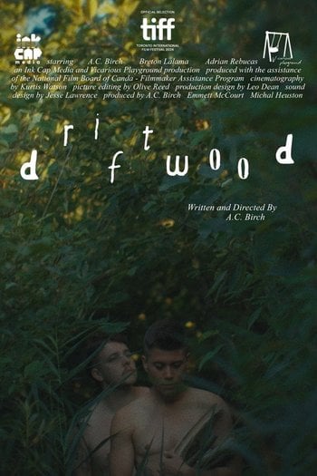 Driftwood