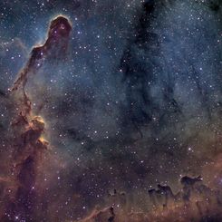 The Elephant's Trunk in IC 1396