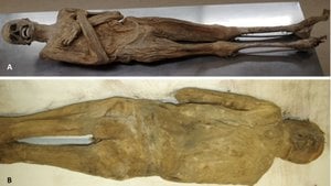 Yüzlerce Yıl Hiç Bozulmadan Kalan Avusturyalı Bir Papazın Mumyası, Yeni Bir Mumyalama Yöntemi Ortaya Çıkardı!
