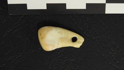 25.000 Yıllık Bir Kolyeden Elde Edilen Antik DNA, Takan Kişi Hakkında İlgi Çekici Ayrıntıları Ortaya Koyuyor