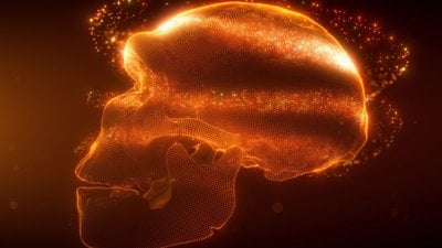 Neandertallerin Yok Olma Nedeni Akraba Evliliği Olmayabilir!