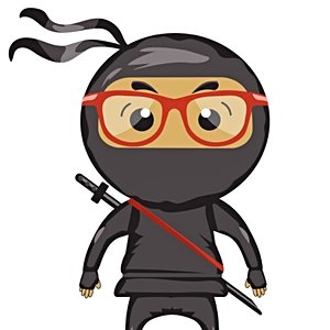 Ninja Nerd