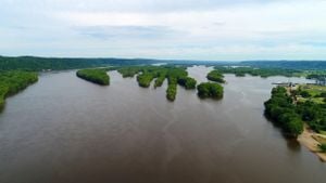 Forest Connectivity Crucial For River Water Quality