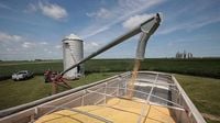 Trump calls China soybean cuts 'economically hostile' act against American farmers nationwide