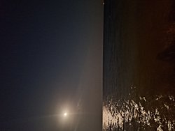 Ay ışığının denize yansımasını neden hep bizi takip edet şekilde görürüz?