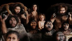 Evrim,Bilim ve Evrim ne kadar mantıklı