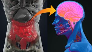 Alpha-Synuclein Overexpression Drives Gut Microbiome Dysbiosis