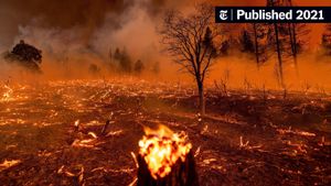 Drought Conditions Ignite Wildfires Across The US