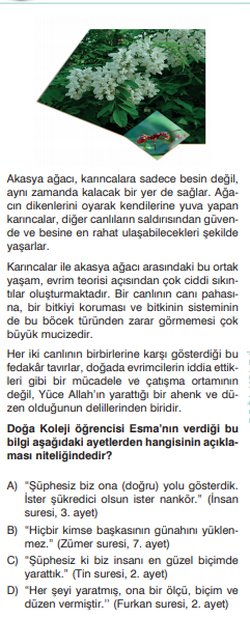 Akasya ağacı ve karınca arasındaki işbirliği evrimle çelişir mi?