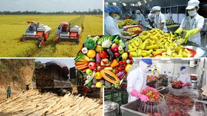 Vietnam's Agricultural Exports Face EU Challenges