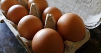 Salmonella Outbreak Linked to Eggs Sickens Dozens