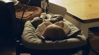 Liam Gallagher becomes a grandad! Molly Moorish gives birth