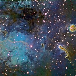 The Tadpoles of IC 410