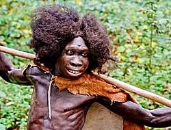 Homo saphiens türü ile neardentel hariç başka bir insan türü ile çiftleşmesinde yeni bir canlı oluşturabilirler mi?