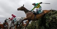 Grand National 2025 sweepstake kit to download and print for free for the race