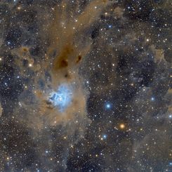  Haunting the Cepheus Flare 