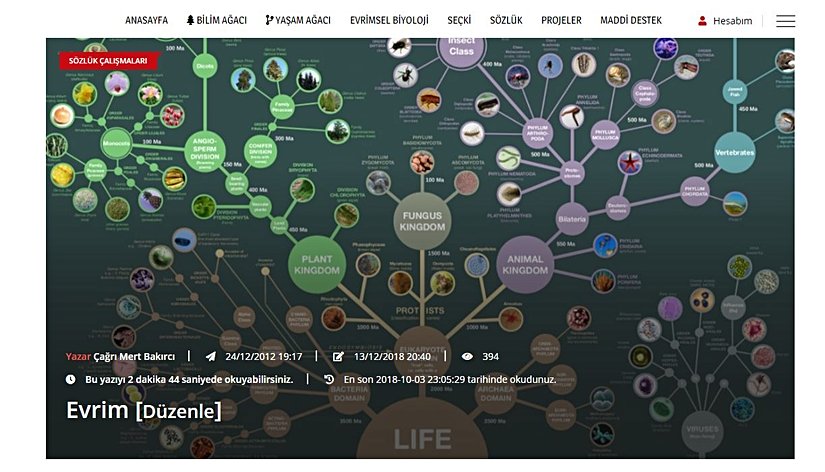 Seçtiğiniz Öne Çıkarılan Görsel, sitede bu şekilde gözükecektir.