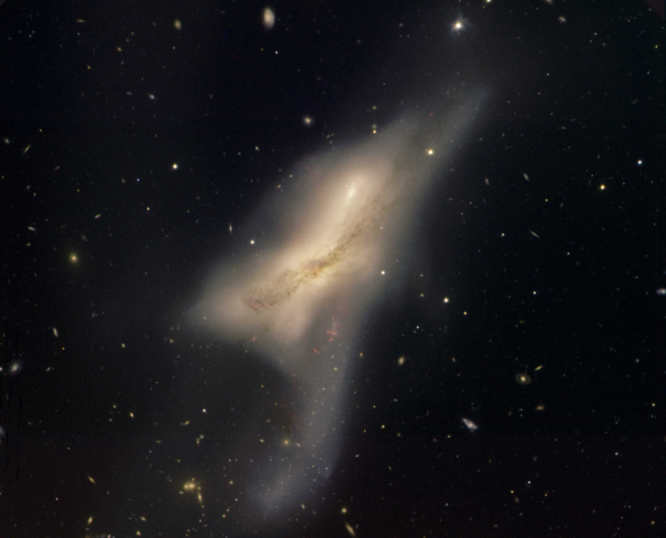 The Colliding Galaxies of NGC 520