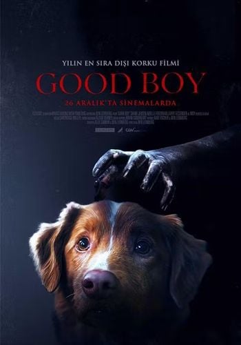 Good Boy