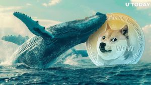 Dogecoin Whales Spark Market Frenzy With 100 Million DOGE Move