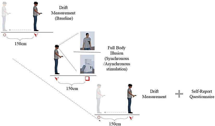 İlk aşamada katılımcıların bulundukları konum ile kendilerinin bulunduklarını düşündükleri konum arasındaki farklılık ölçüldü. Sonrasında katılımcılara tam-vücut illüzyon deneyi uygulandı. Bu deneyden sonra da pozisyon kayması tekrar ölçüldü ve deneyin tamamı bittikten sonra katılımcılara bir anket uygulandı.