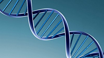 İlk Defa Yapay Genler Kullanılarak Yapay Enzimler Yaratıldı!