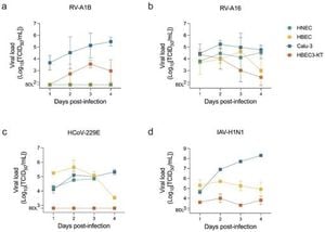 Research Uncovers Promising Antiviral Effects Of Sugar Analogues