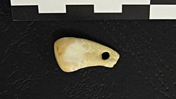 25.000 Yıllık Bir Kolyeden Elde Edilen Antik DNA, Takan Kişi Hakkında İlgi Çekici Ayrıntıları Ortaya Koyuyor