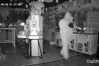 Labubu dolls worth thousands stolen in store raid