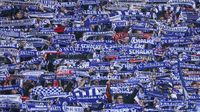 Positive result sees Schalke meet equity capital rule