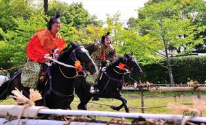 Kyoto Horse Races Cancelled Due To Heavy Snow