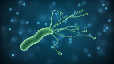 Helicobacter pylori Bakterisi Mide Kanserine Neden Olabilir!