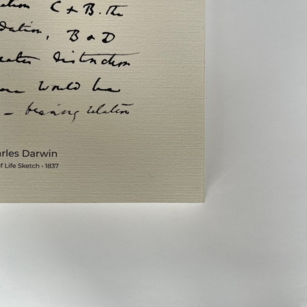 Darwin Yaşam Ağacı A5 Defter - 120gr 80 Yaprak Ivory (Fil Dişi)