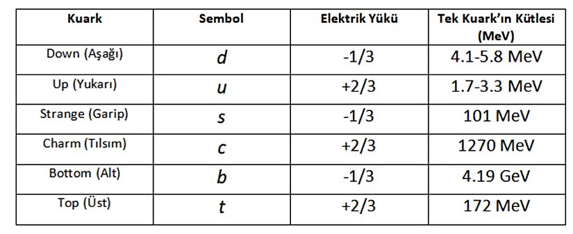 Kuark Çeşitleri.