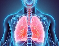 Yaşadığımız hava kirliliğini yoğun olduğu şehir alanlarında bile ciğerlerimizi temizleyip güçlendirebilecek en efektif bilimsel metodlar nelerdir?