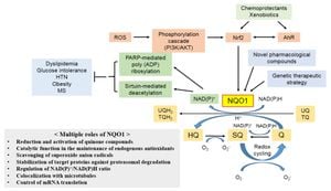 Uncovering NQO1's Role As Prognostic Biomarker In Hepatocellular Carcinoma