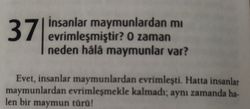 "Şimdiki Maymunlar Neden İnsan Olmuyor?" yazısındaki maymun tanımı, kitabınız ile çelişiyor mu?