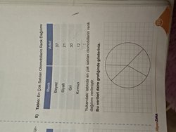 Bu veriler daire grafiğinde nasıl gösterilir?