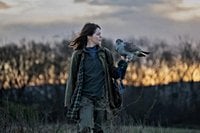 H IS FOR HAWK is a difficult yet stunning depiction of grief — Moviejawn