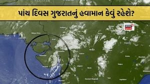 Unseasonal Rain Hits Amreli As Gujarat Faces Weather Changes
