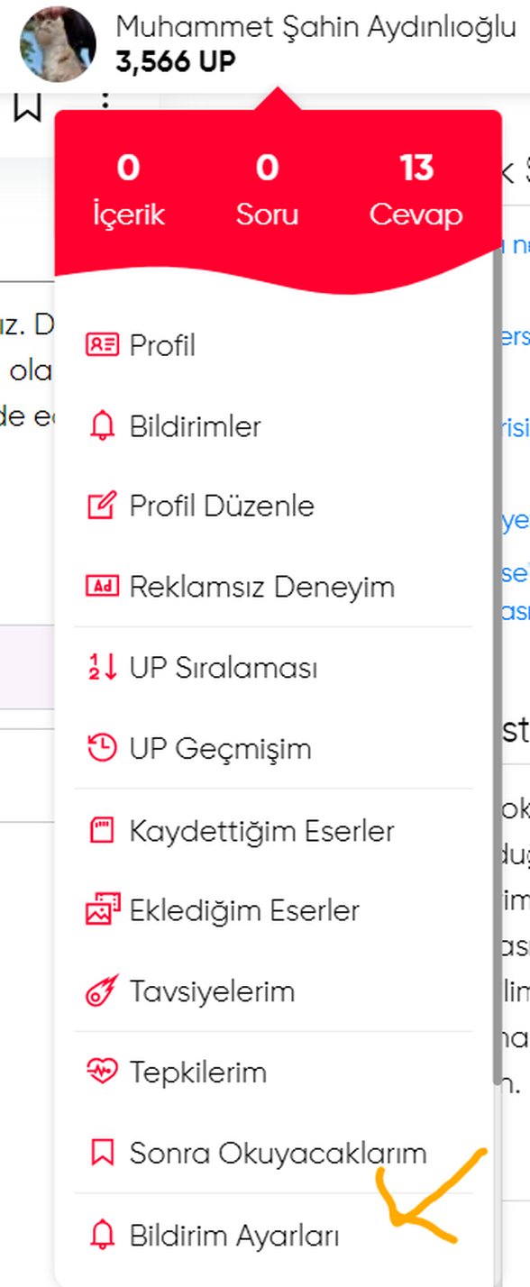 Bildirim Ayarları Nasıl Açılır?