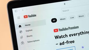 YouTube Unveils Exciting New Features For Premium Users